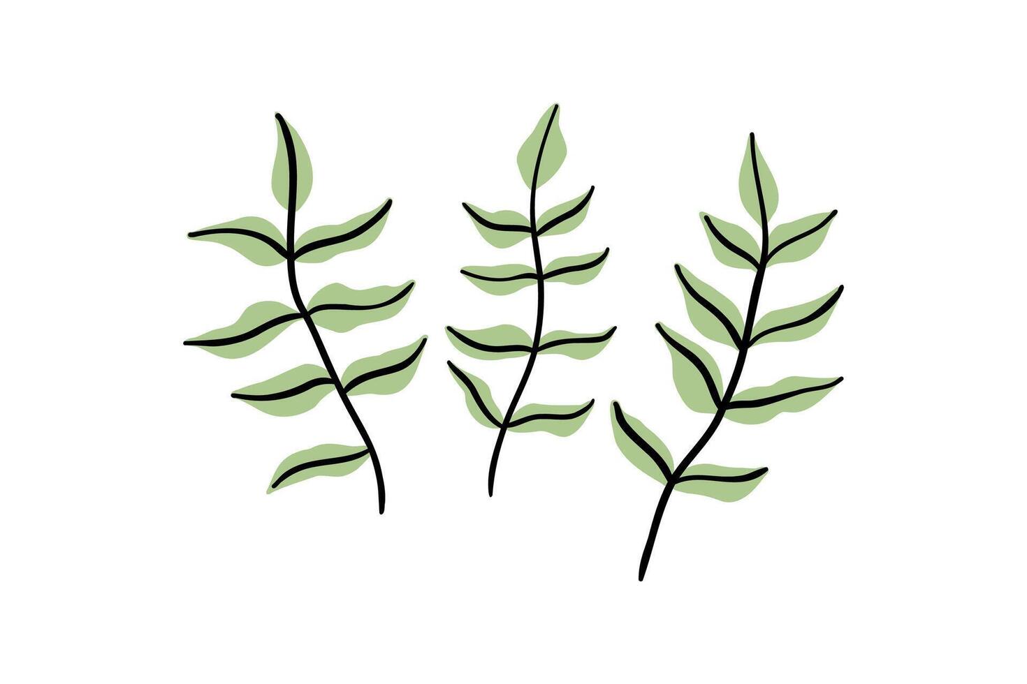 Hand drawn tropical plant with exotic leaves. Jungle, exotic plants. illustration in flat style. vector