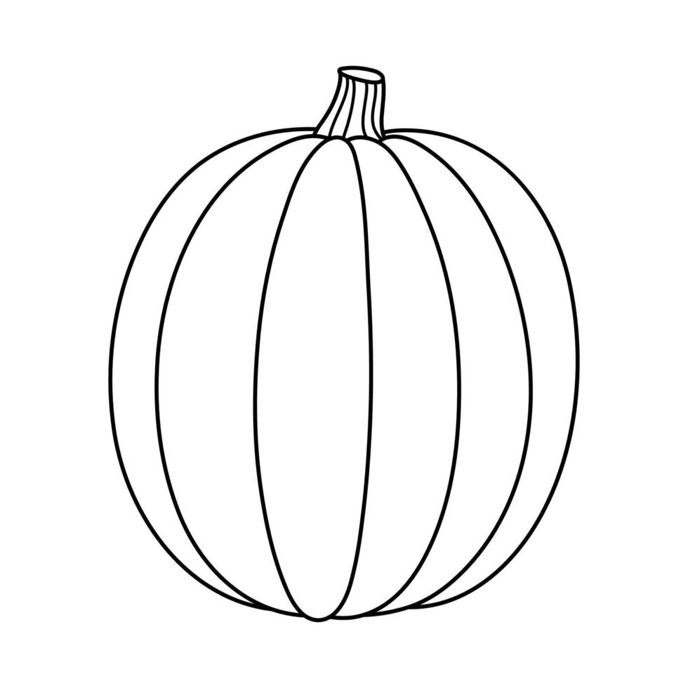 Autumn pumpkin simple line icon. Hand drawn illustration for Halloween and Thanksgiving decoration. vector