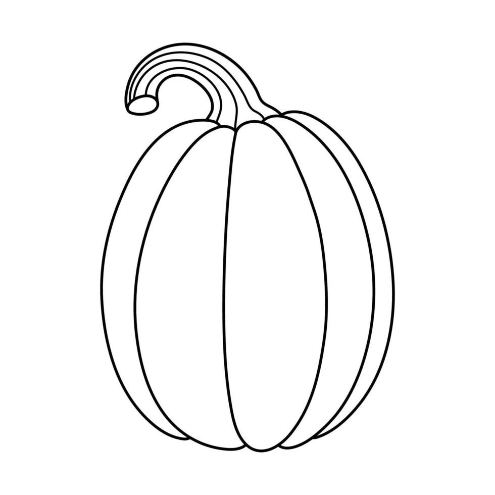 Autumn pumpkin simple line icon. Hand drawn illustration for Halloween and Thanksgiving decoration. vector