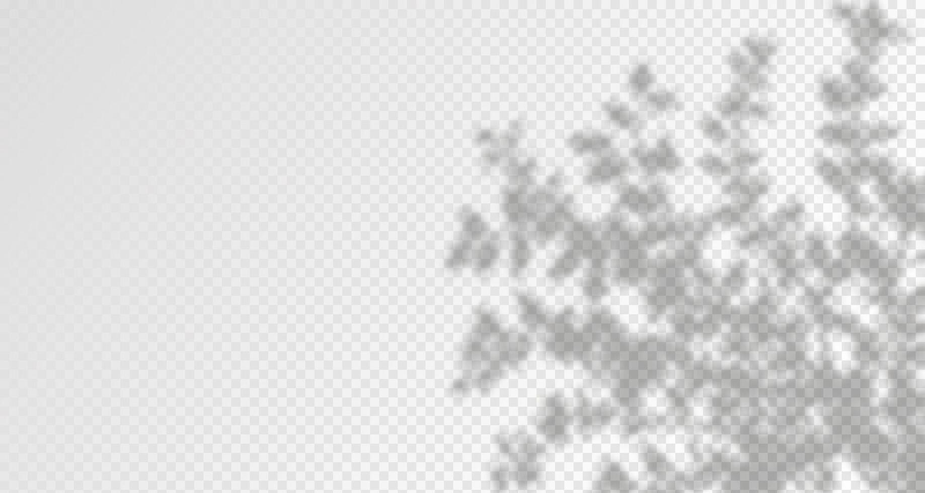 Glare from the sun's rays on the wall. Blurred shadows from leaves and plants in the room. Soft overlay of natural light. Abstract background for product presentation.Natural light layout. vector