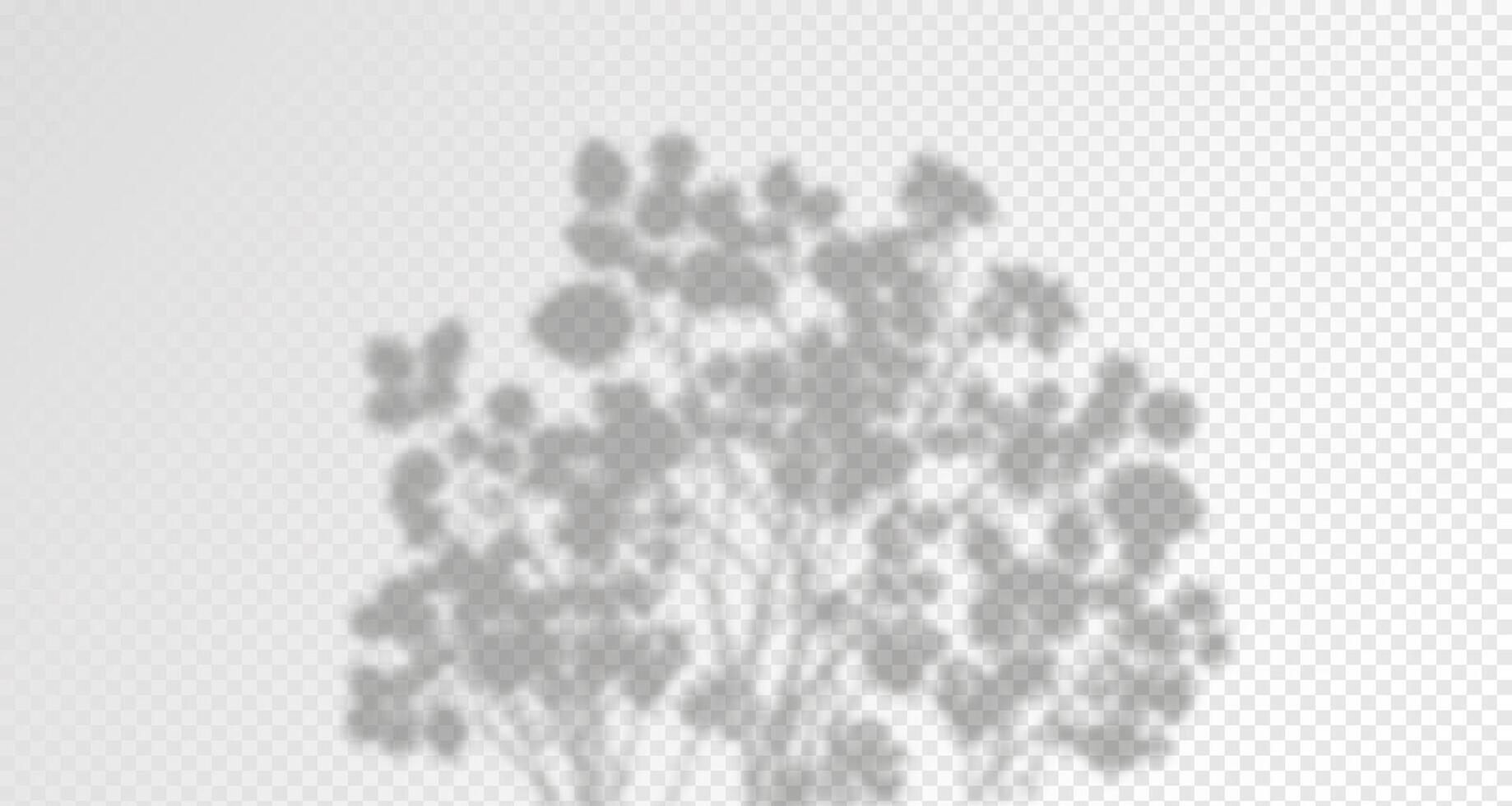 Glare from the sun's rays on the wall. Blurred shadows from leaves and plants in the room. Soft overlay of natural light. Abstract background for product presentation.Natural light layout. vector