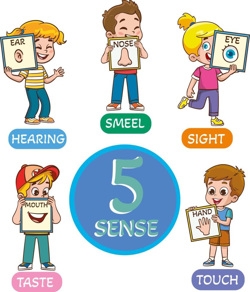 little kids holding cards about 5 senses.little children showing parts of the body vector