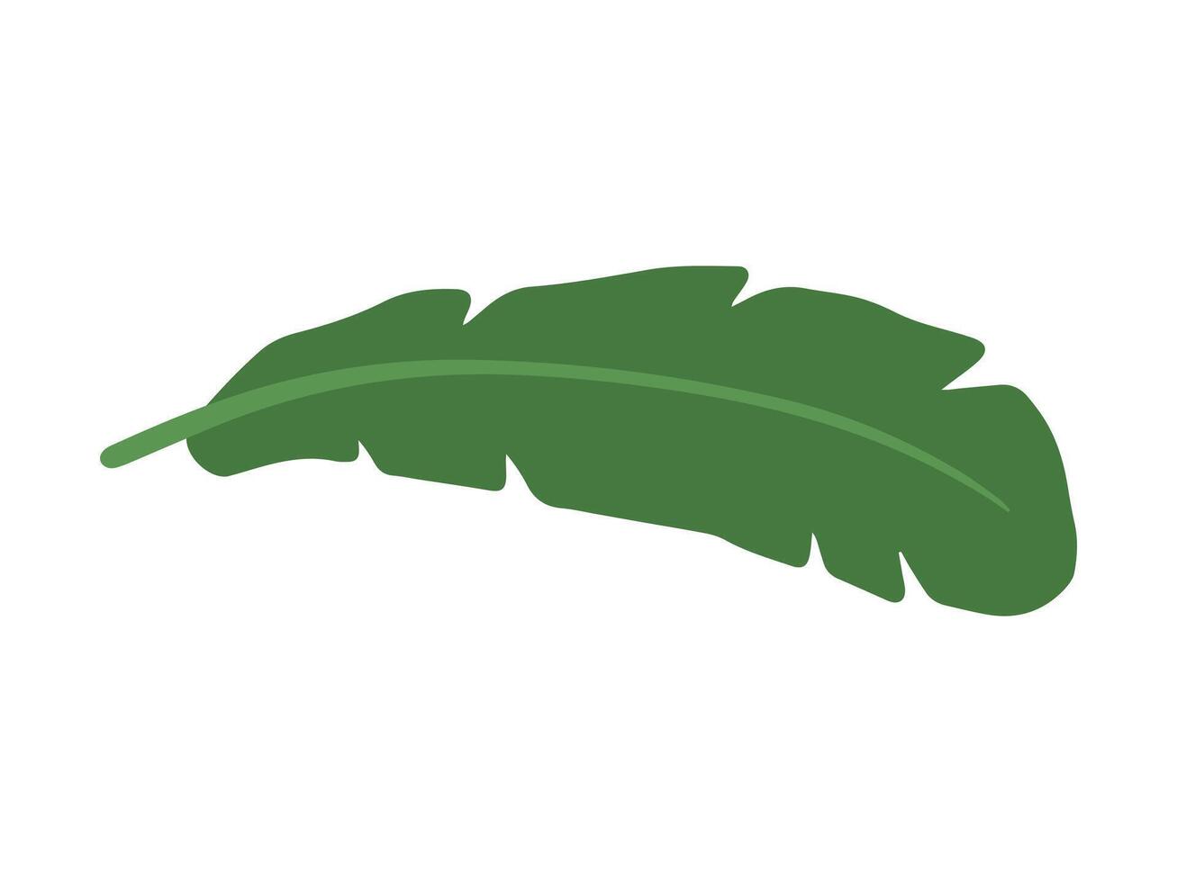 Banana Green Leaves Background Illustration vector