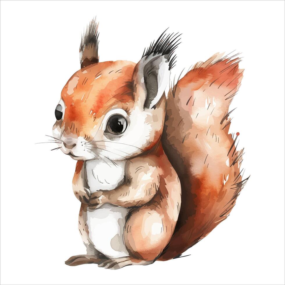 Cute little squirrel in watercolor style. Hand drawn squirrel. Watercolor squirrel. vector