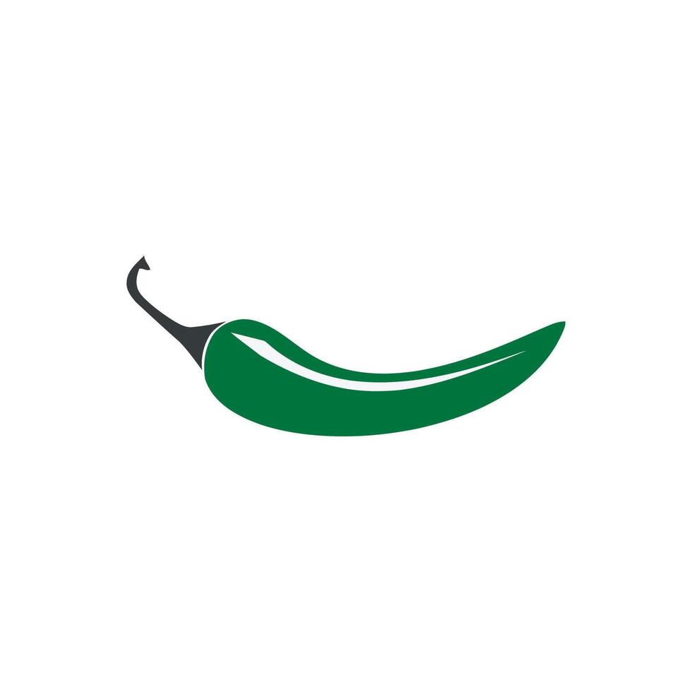 green chili pepper vector