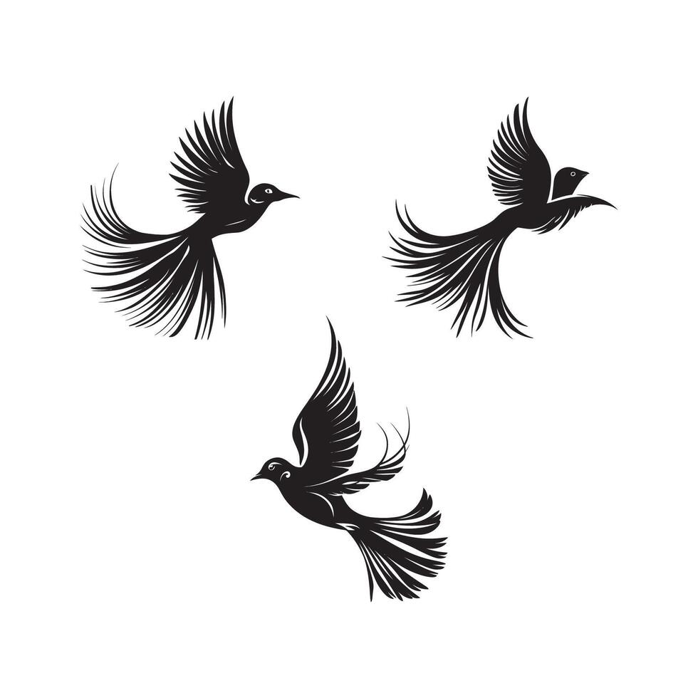 conjunto de negro y blanco alas vector
