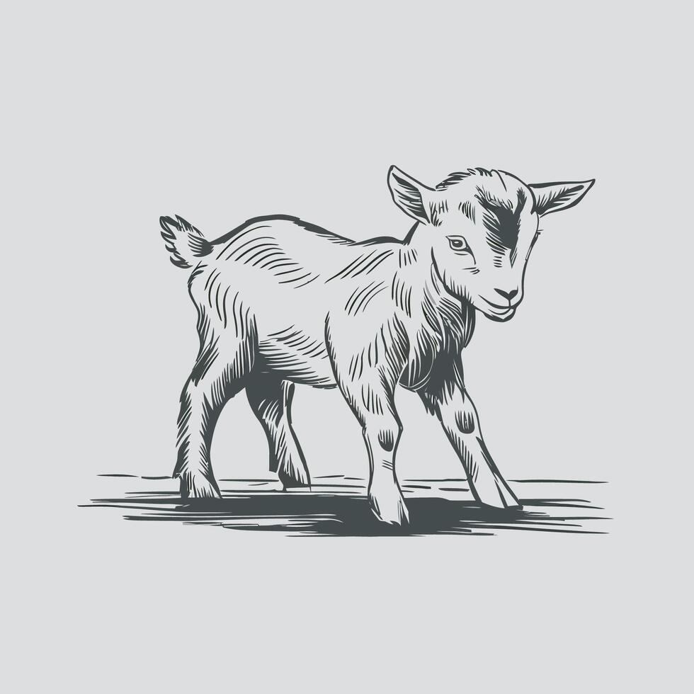 black and white illustration of a goat vector