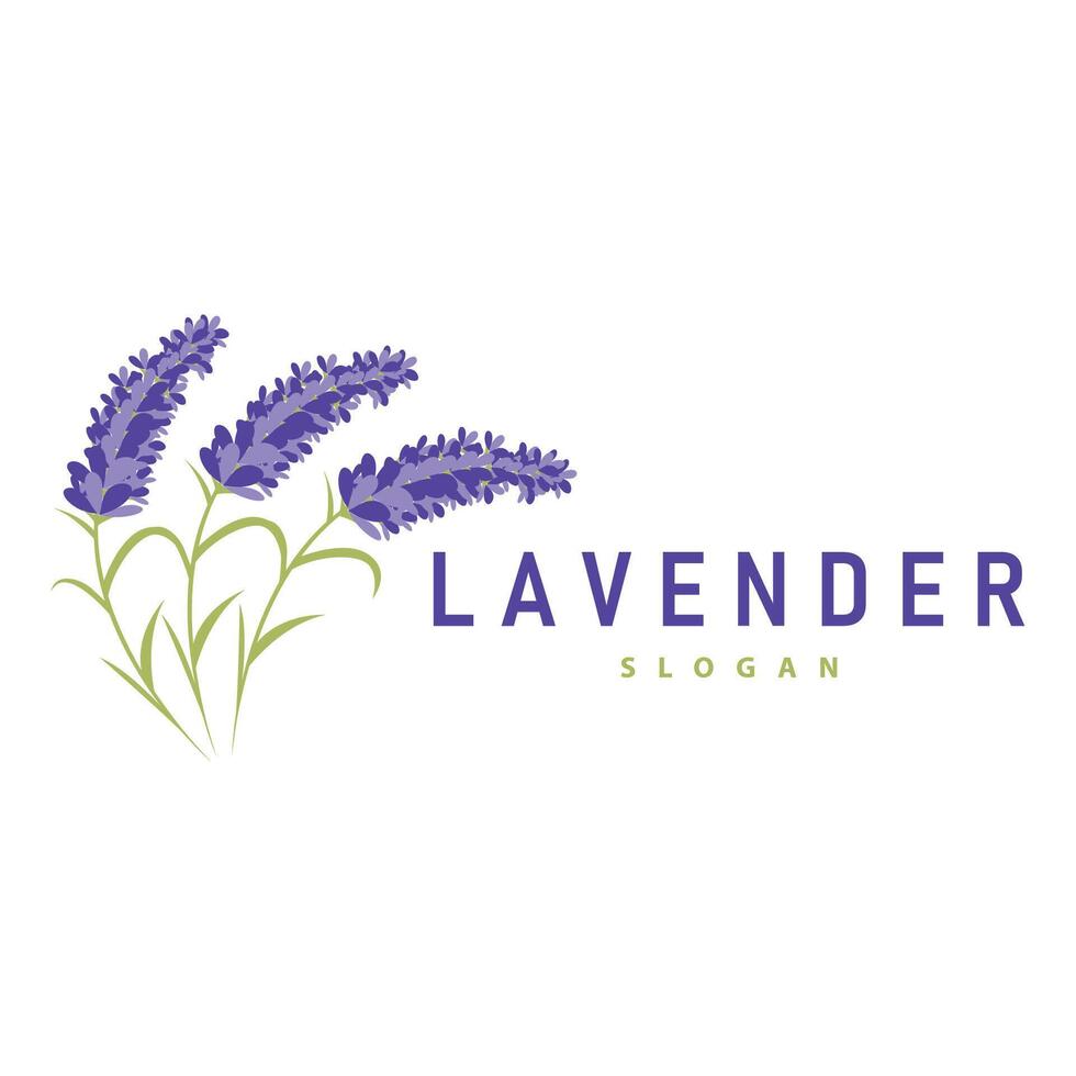 Lavender Logo Elegant Purple Flower Plant Illustration Floral Ornament Design vector