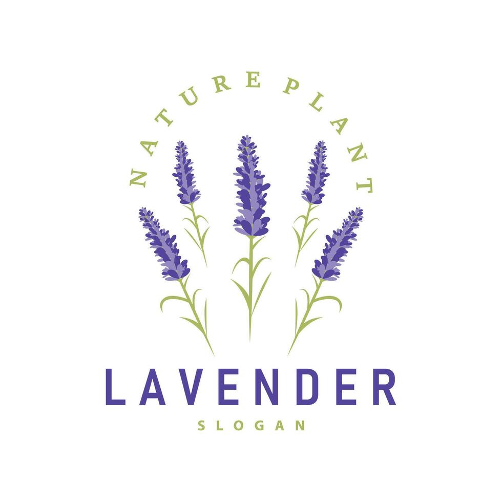 lavanda logo elegante púrpura flor planta ilustración floral ornamento diseño vector