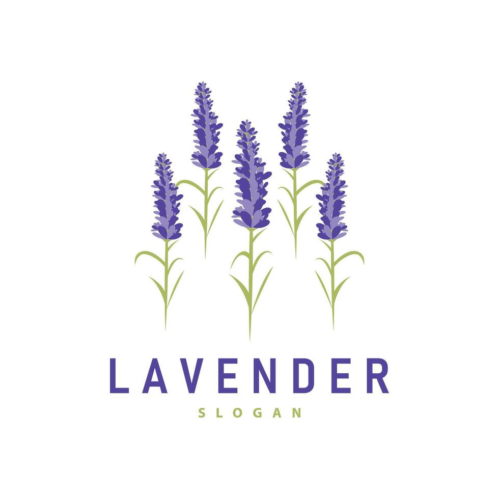 Lavender Logo Elegant Purple Flower Plant Illustration Floral Ornament Design vector