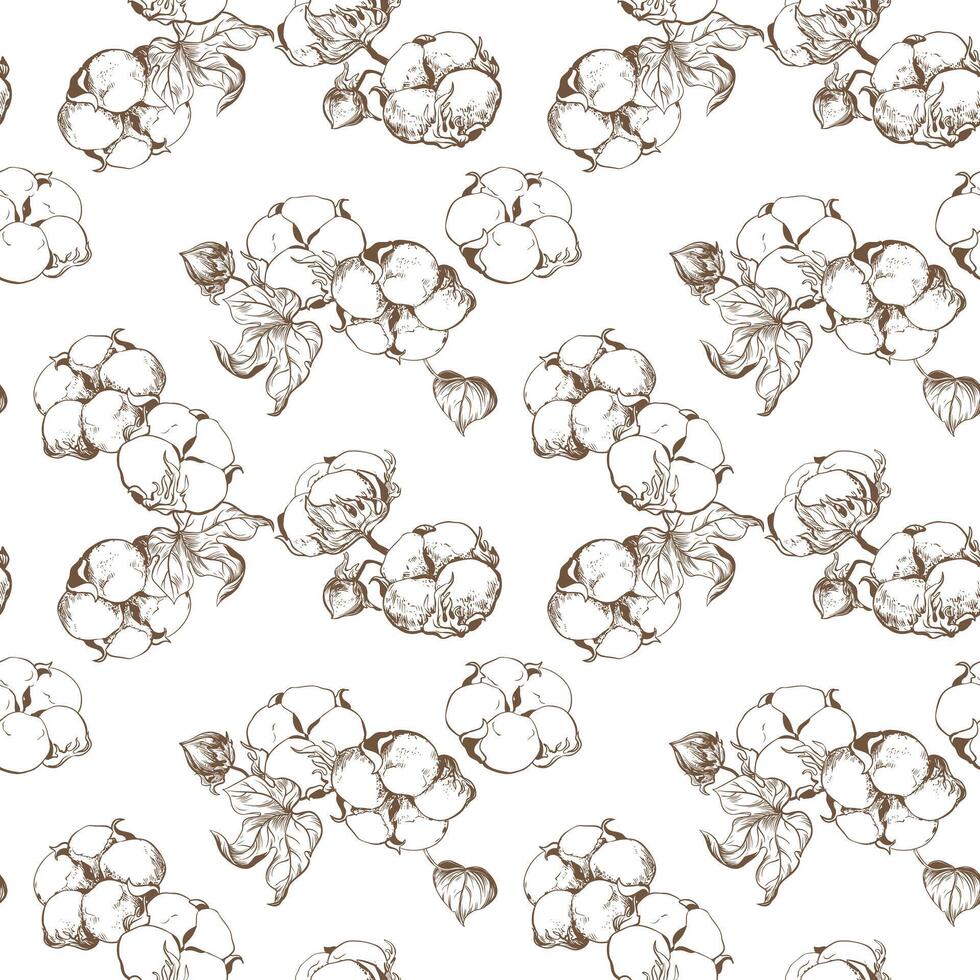 , seamless, black and white pattern of cotton flowers. Botanical illustration using engraving technique. Cotton branches with leaves are drawn with ink. Illustration suitable for fabric, textile vector