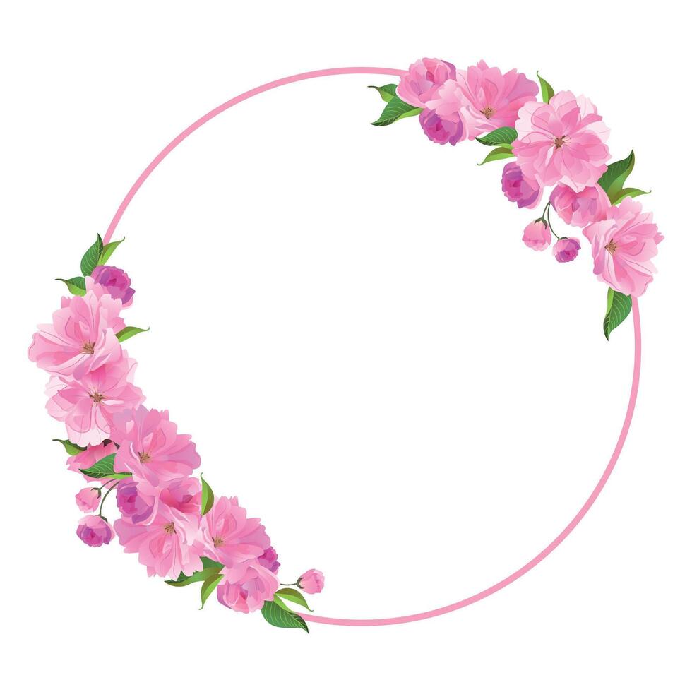 wreath of sakura. Round frame with branches of cherry blossoms. Pink fluffy Sato-zakura flowers on a white background. Composition for a wedding invitation, congratulations on Mother's Day. vector