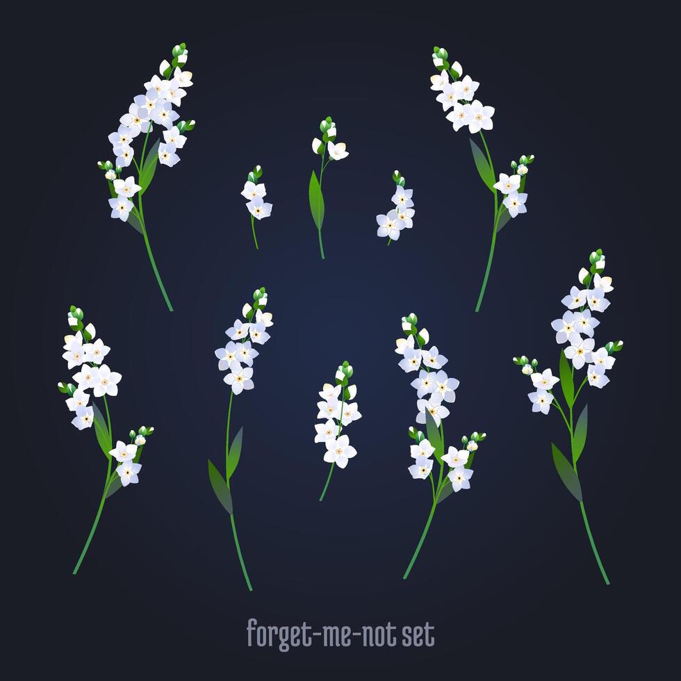 Set of wedding elements, forget-me-nots vector