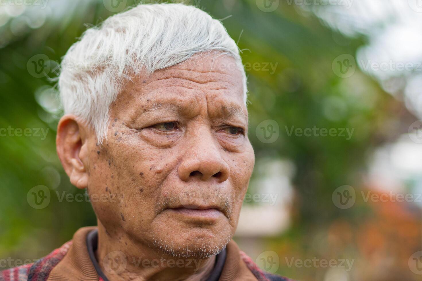 Portrait of an elderly man looking away while standing in a garden. Space for text. Concept of aged people and healthcare photo