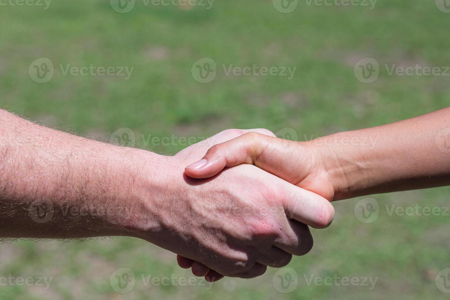 Close-up shot of man shake hands with a woman while standing in a garden. Concept of teamwork and partnership photo