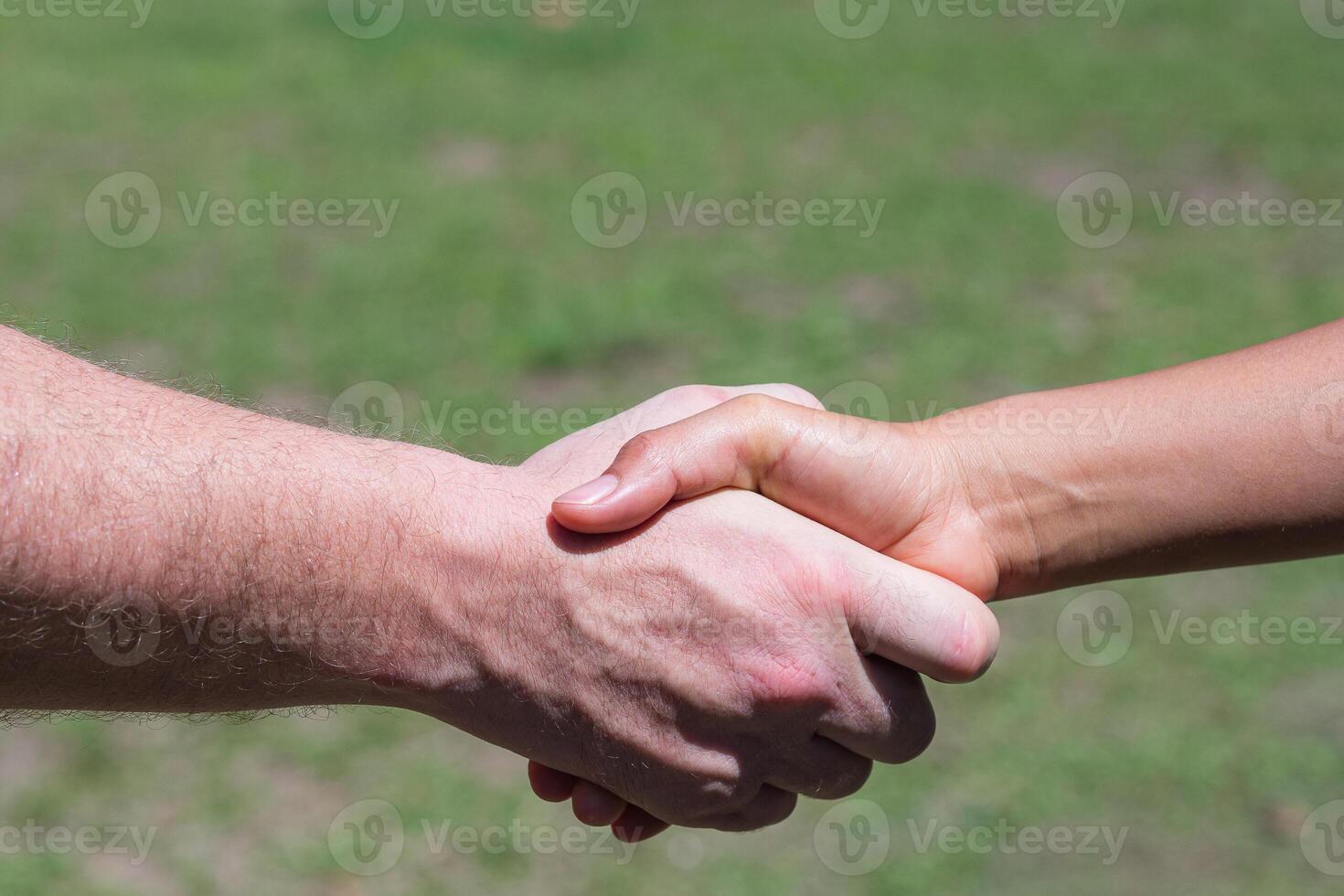 de cerca Disparo de hombre sacudir manos con un mujer mientras en pie en un jardín. concepto de trabajo en equipo y camaradería foto