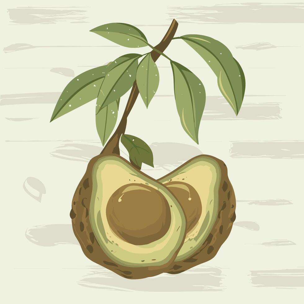 ilustración de fruta de aguacate vector