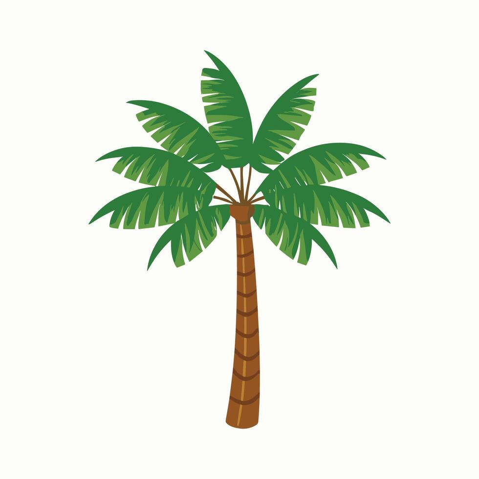 palm tree illustration vector