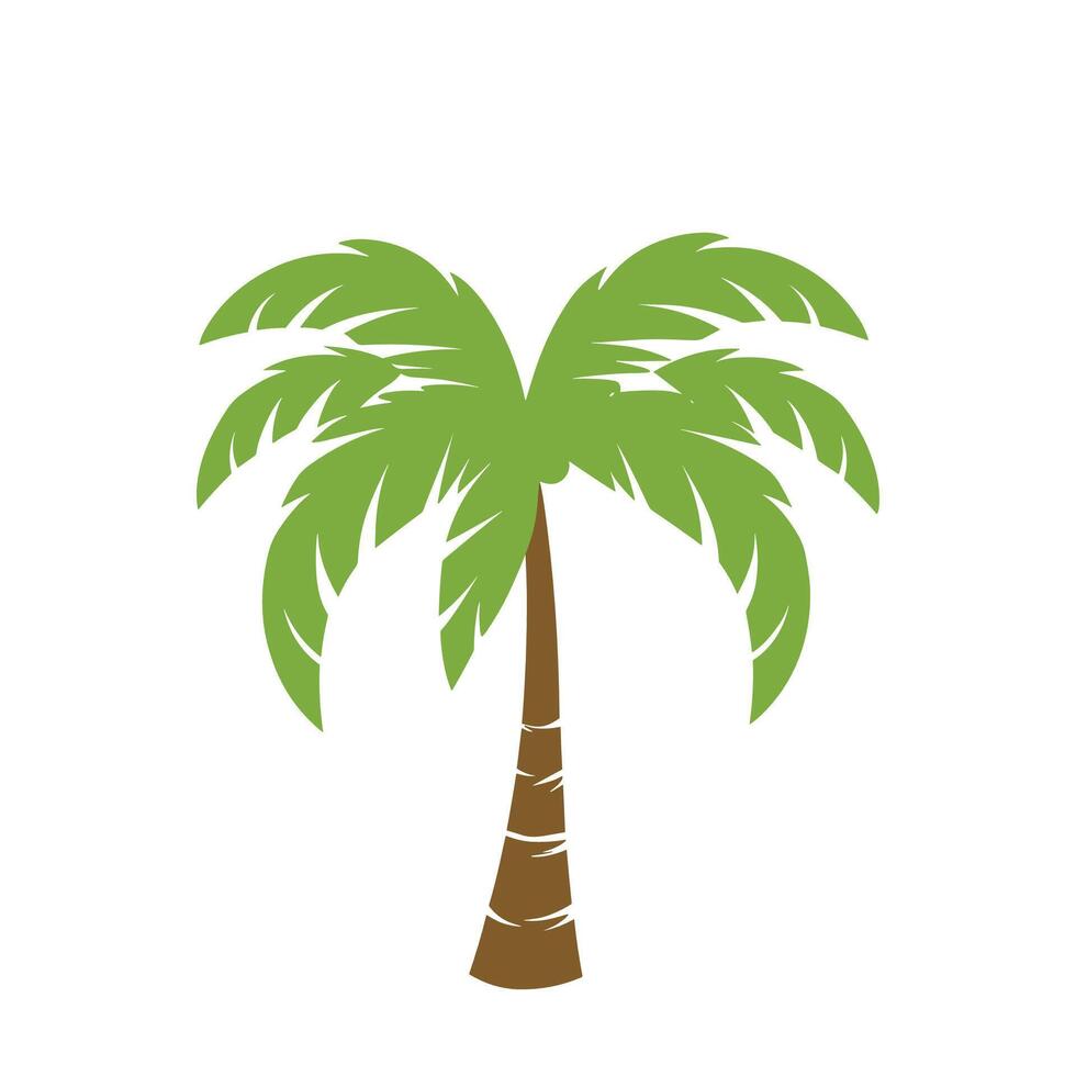 palm tree illustration vector