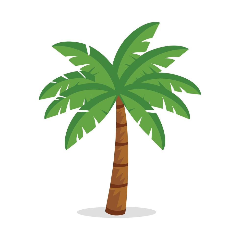 ilustración de palmera vector