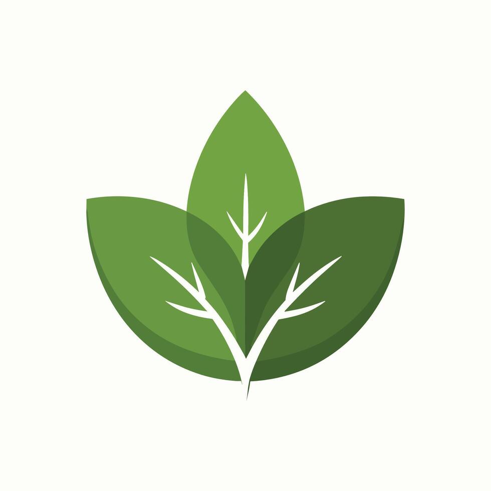 green leaf isolated on white background 43050426 Vector Art at Vecteezy