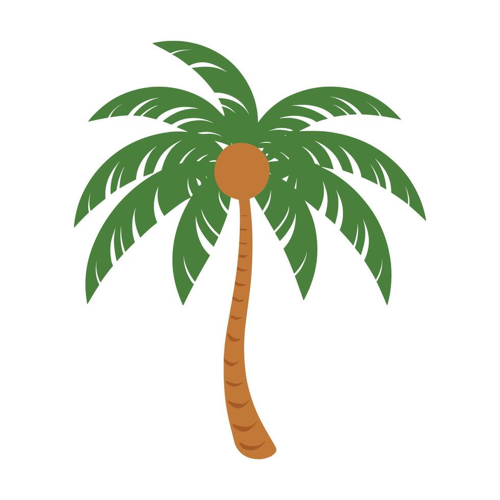 palm tree illustration vector