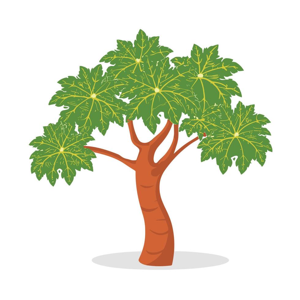 papaya tree illustration vector