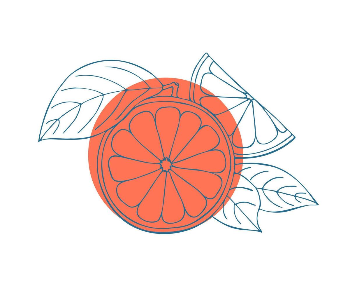 pomelo azul estilizado mano dibujo bosquejo en rojo círculo, blanco antecedentes. etiqueta, emblema, logo, icono. vector