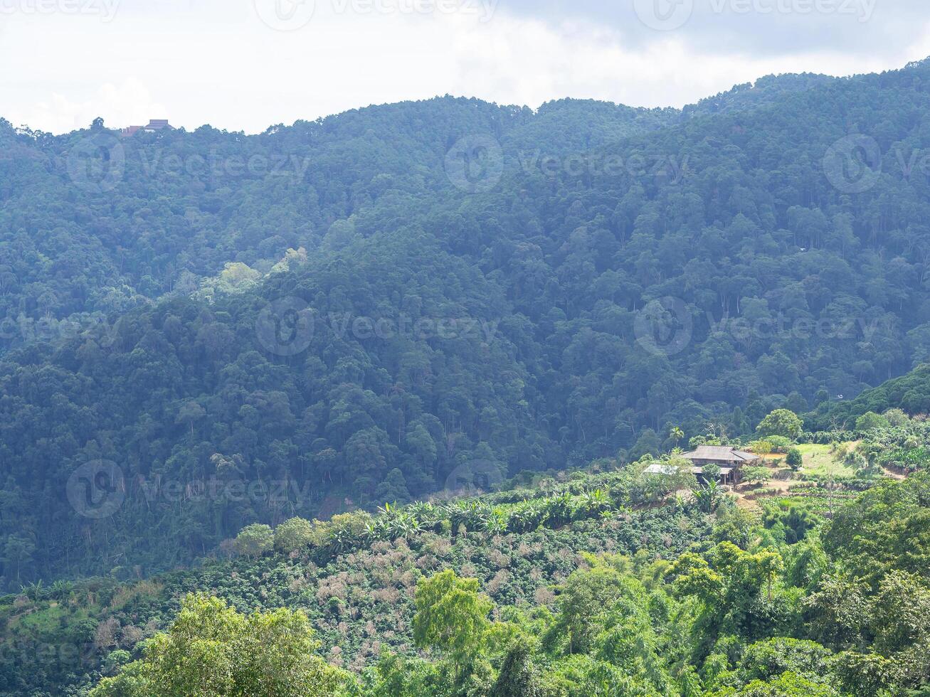 escénico ver paisaje de montañas en del Norte Tailandia foto