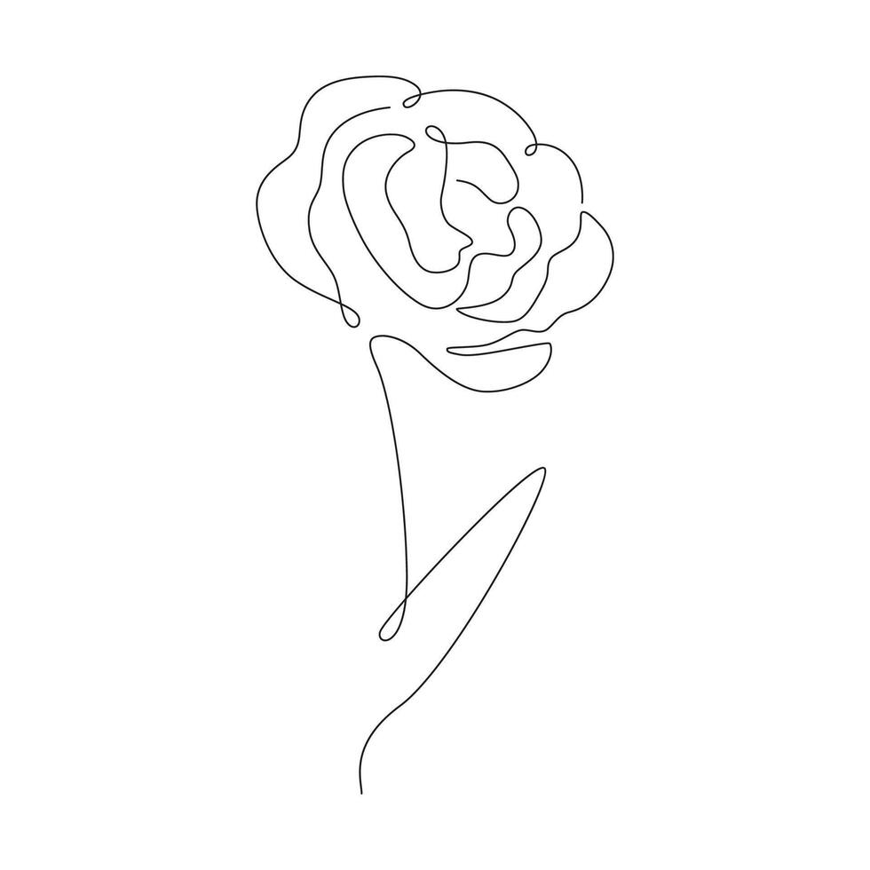 Single line drawing rose vector