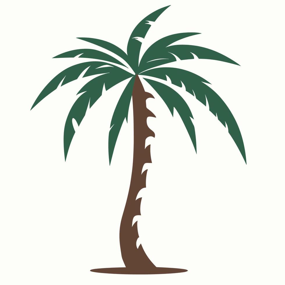 palm tree illustration vector