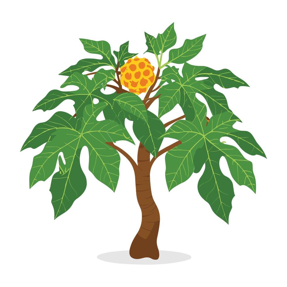 papaya tree illustration vector