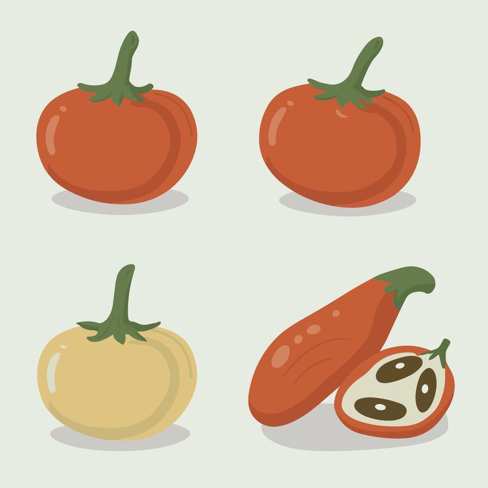 set of red peppers vector