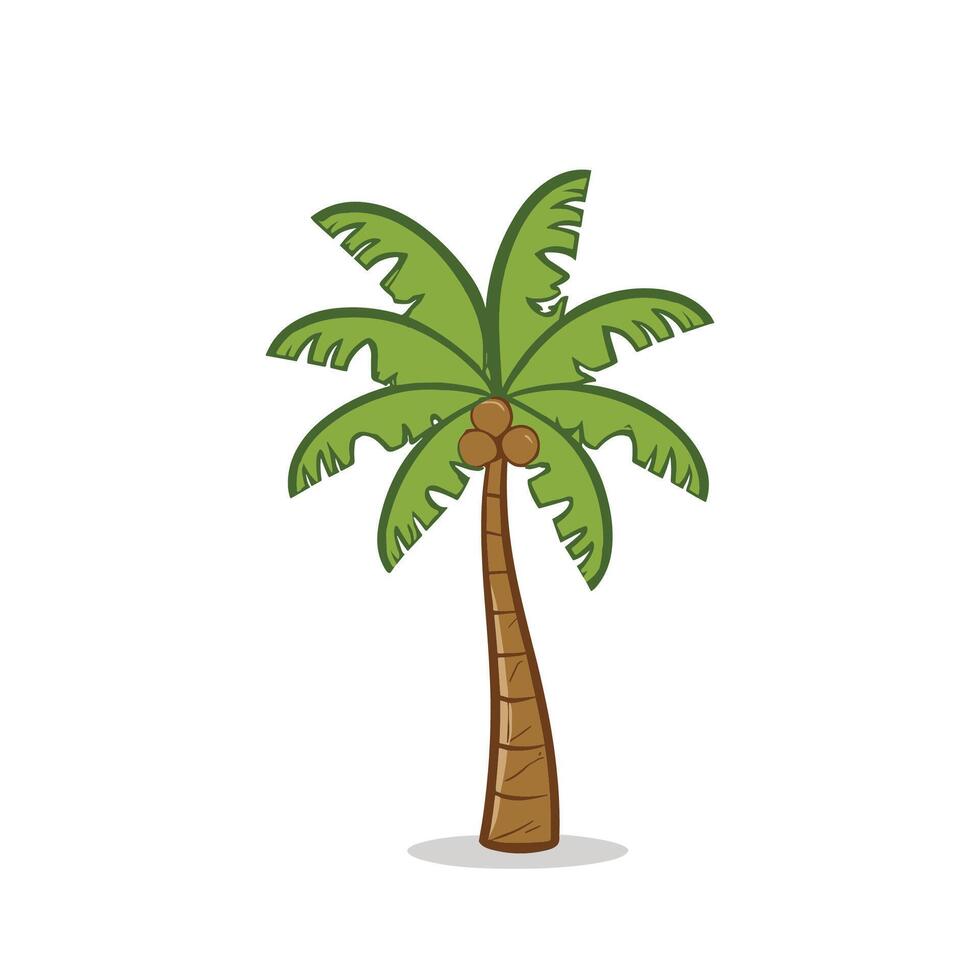 palm tree illustration vector
