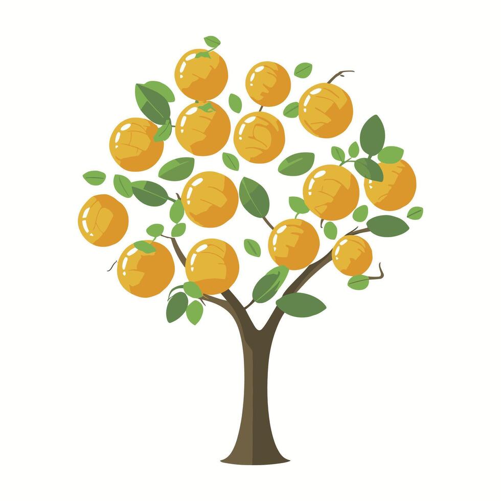 orange tree illustration vector