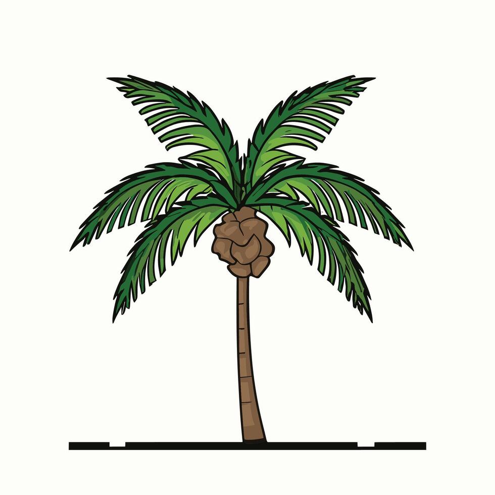 ilustración de palmera vector