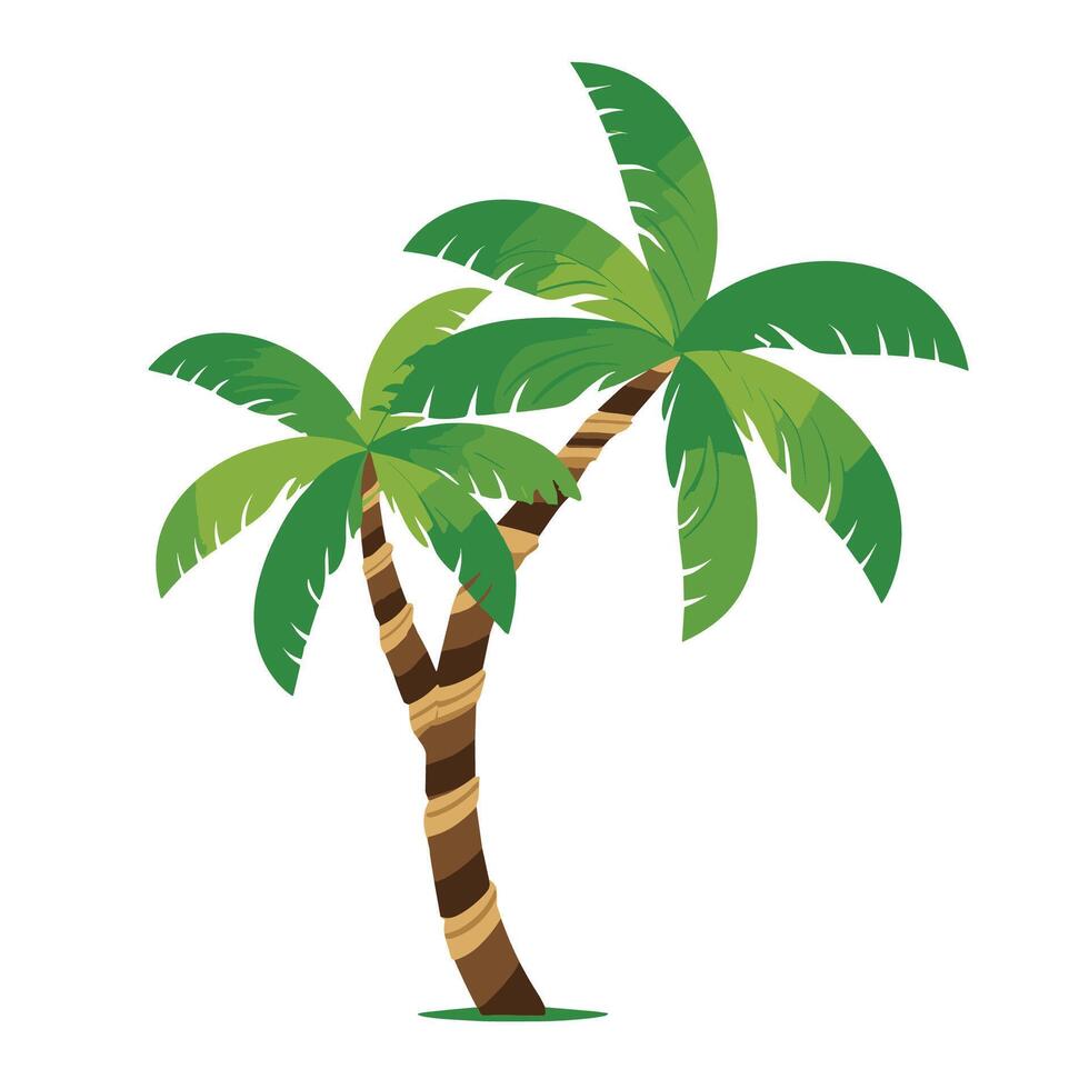 palm tree illustration vector