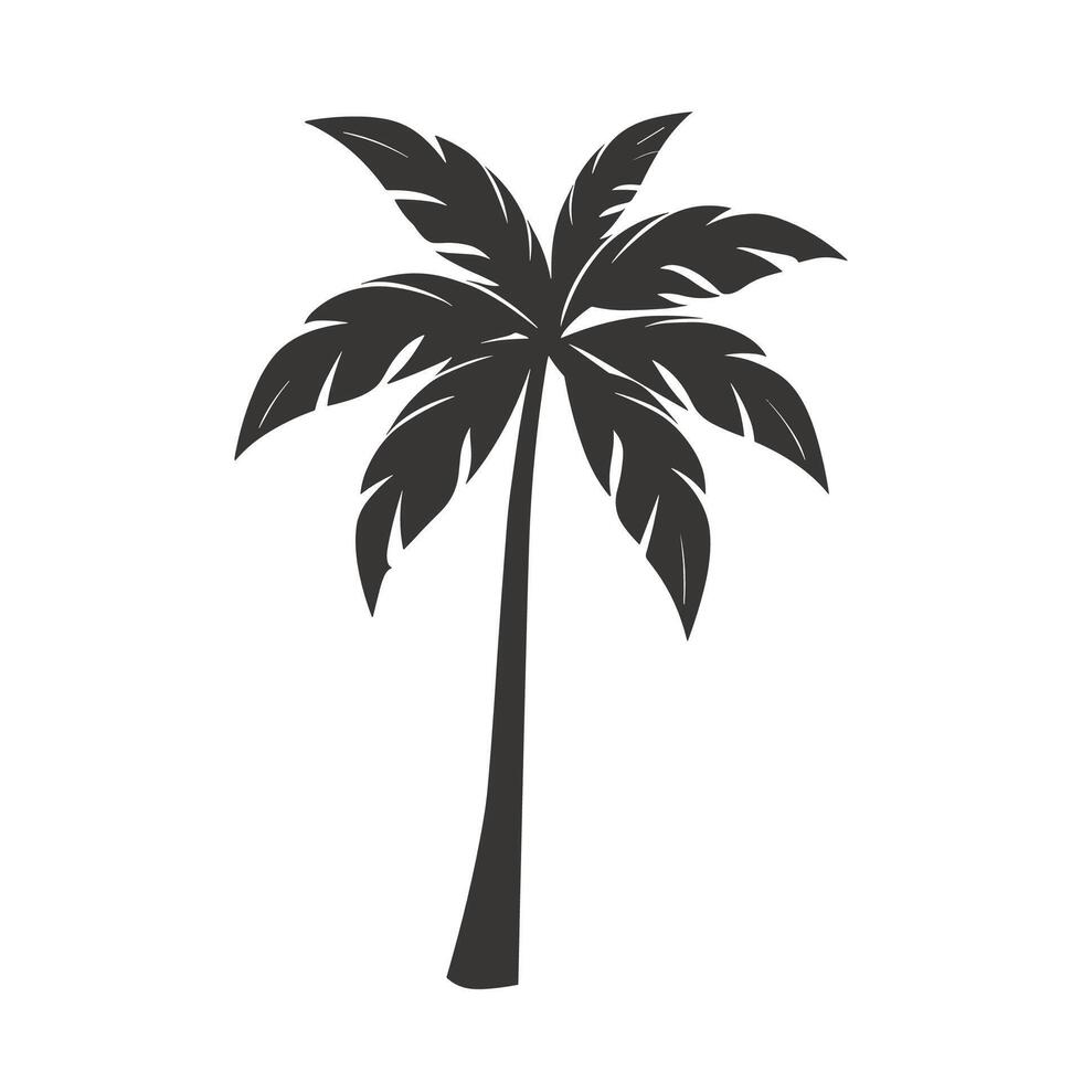 palm tree illustration vector