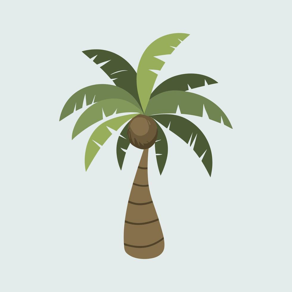 palm tree illustration vector