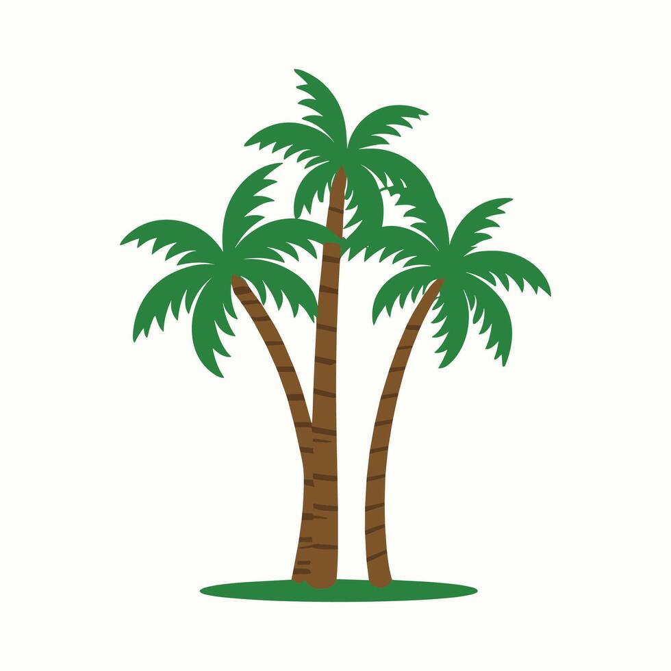 palm tree illustration vector