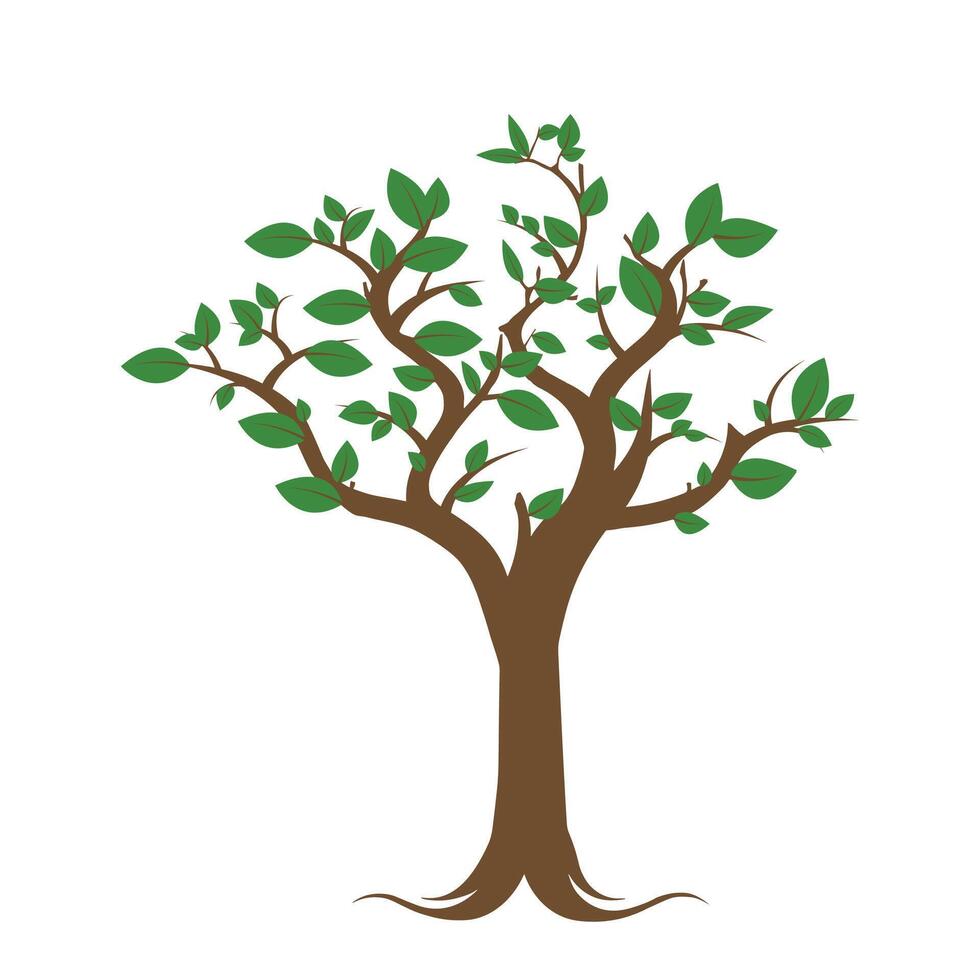 tree isolated on white vector