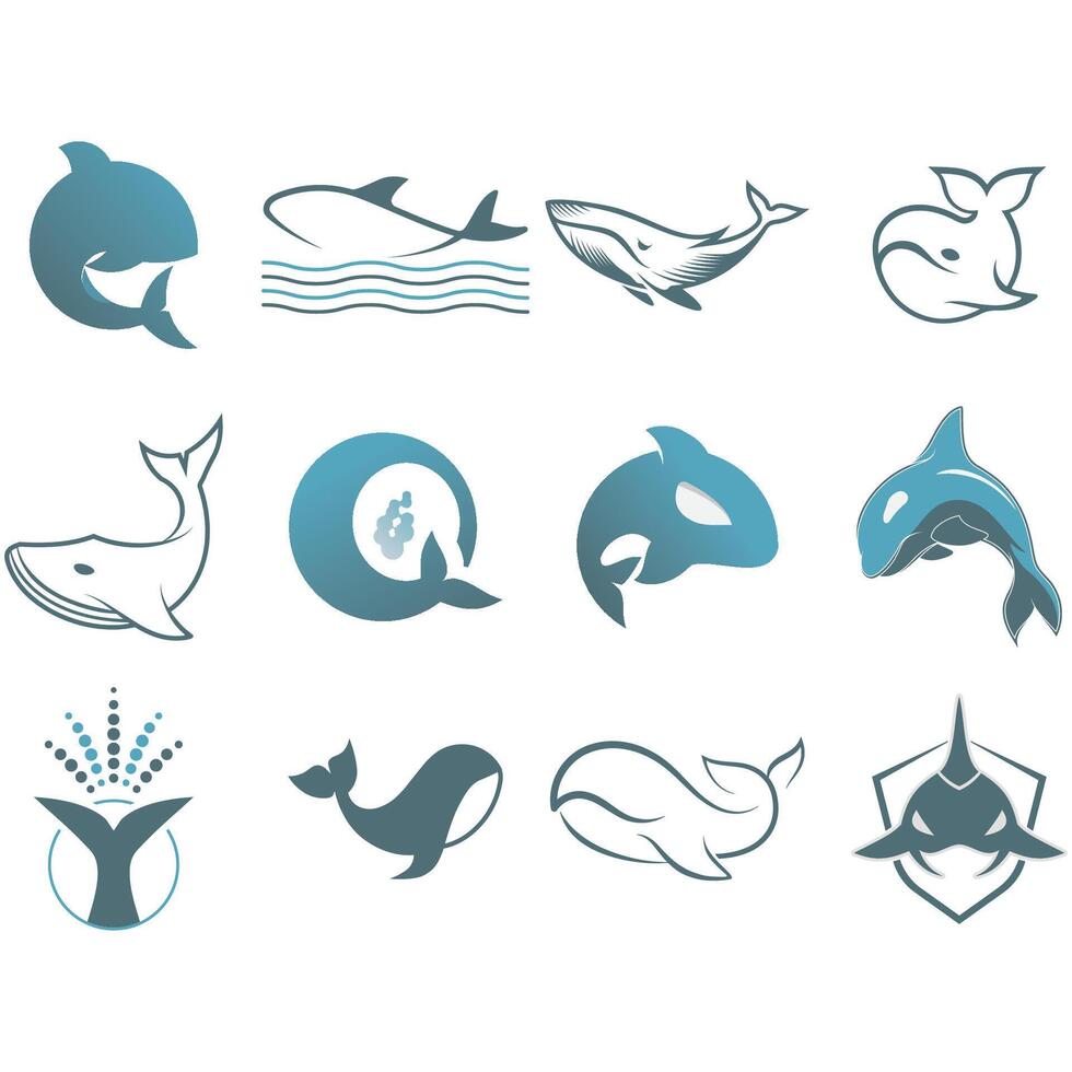 Killer Whale Logo vector