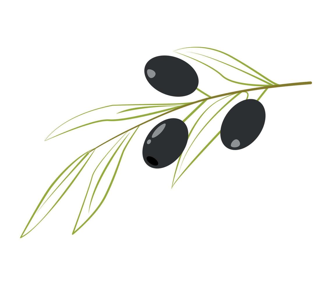 Olives on a branch, olives clipart, black olives, illustration, olives clipart vector