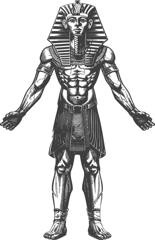 Pharaoh Male the egypt Mythical Creature image using Old engraving style vector