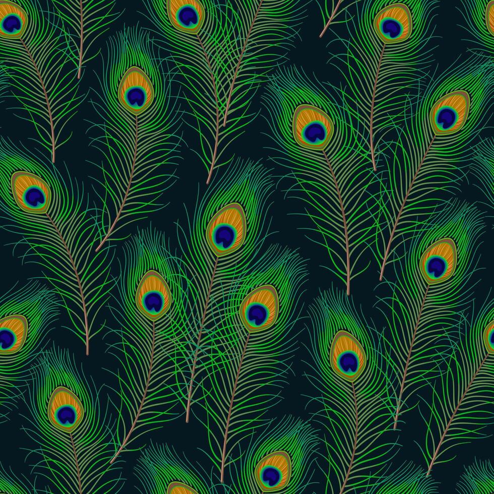 pluma de pavo real sobre fondo negro y blanco. pluma verde esponjosa de cola de pavo real. elemento de diseño para carnaval, espectáculo, etc. vector