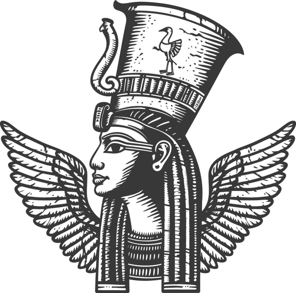 antiguo Egipto egipcio jeroglífico símbolo imágenes utilizando antiguo grabado estilo cuerpo negro color solamente vector