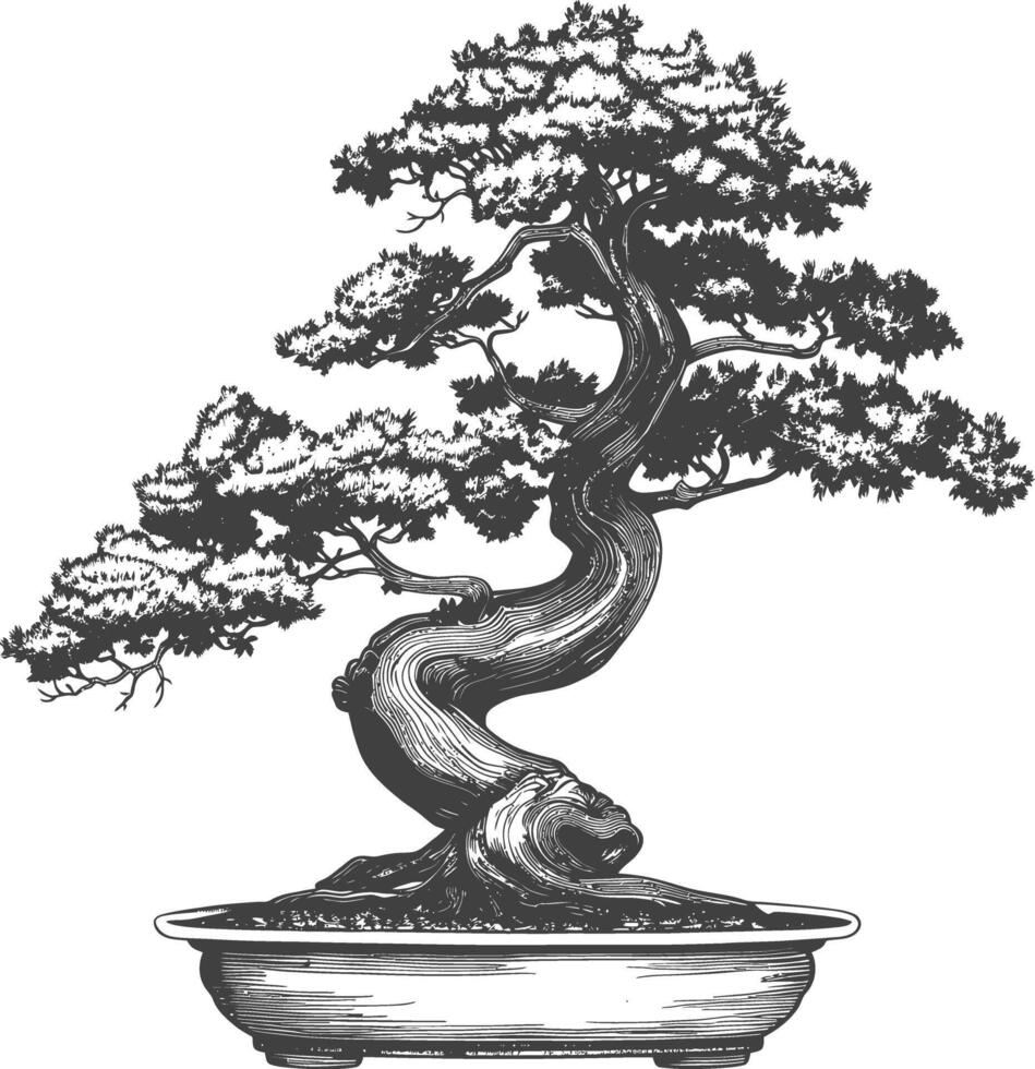 bonsai tree images using Old engraving style body black color only vector