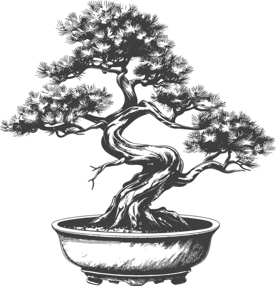 bonsai tree images using Old engraving style body black color only vector