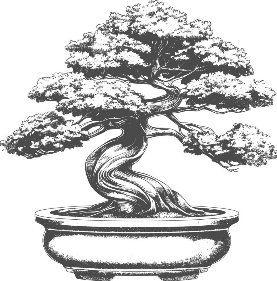 bonsai tree images using Old engraving style body black color only vector