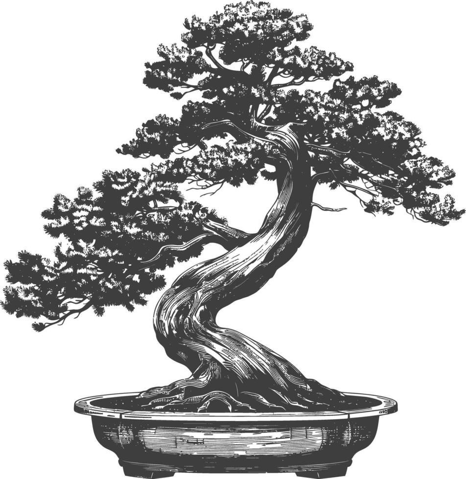 bonsai tree images using Old engraving style body black color only vector